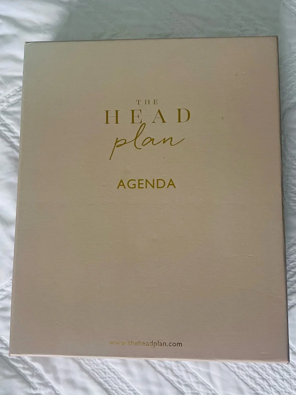 The Agenda Beige Ring Binder Organizer with inserts